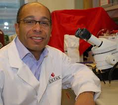 Research Capacity Impacts