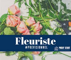 Nous œuvrons dans notre centre. Pension Canine Comment Faire Son Business Plan