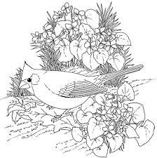 50 cardinal coloring pages to print and color. Cardinal Bird Find Food Coloring Page Coloring Sun