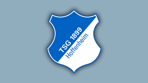 Graphic design elements (ai, eps, svg, pdf,png ). Logo Hoffenheim Brasao Em Png Logo De Times