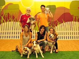 Celebridades e seus pets participam de quadro no Domingão do Faustão