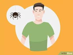 General pest control usually consists of common insects such as roaches, ants, fleas, flies, spiders along with rodents such as mice and rats. How To Overcome The Fear Of Spiders 15 Steps With Pictures