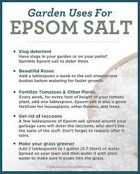 Check spelling or type a new query. Pin On Garden