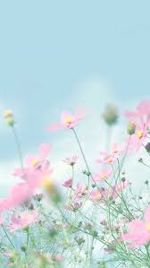 Wallpaper Flower Aesthetic Pastel Flowers Landscape Wallpaper