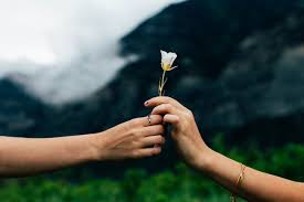 Gm edim a me voilà dans le bruit et dans la fureur aussi dm am regardez moi enfin. Lettre D Amour Je T Aime Encore Parler D Amour