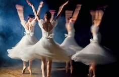 Kentucky Dance Academy