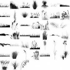 Idea By Griselda Main On Psoriasis Proyect In 2020 Landscape Architecture Graphics Landscape Architecture Drawing Landscape Drawings
