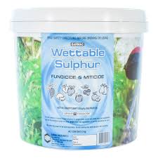 Check spelling or type a new query. Wettable Sulphur Fungicide 2kg Buy Online Fernland