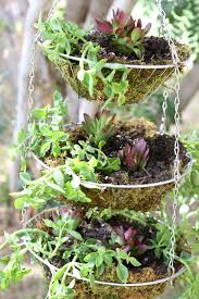 Hanging Fruit Basket From Goodwill Repurposed As A Planter For Succulents Thrift Decor Garden Hanging Herb Gardens Hanging Fruit Baskets Hanging Herbs
