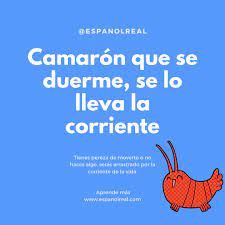 Espanol Real Cuales Son Tus Planes Para 2020 Si Decides Que Este Ano Hablaras Espanol Con Fluidez Estamos Aqui Para Ayudarte Y Tenemos Una Nueva Expresion En Espanol Para Ti