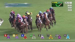 Watch live horse racing and replays from singapore (kranji); Hong Kong Jockey Club Daily Racing Form