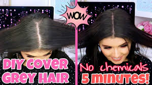 Black walnut has been used in herbal medicine for thousands of years. Diy Cover Grey Hair Home And Natural Ingredients Before After Caro Losada Youtube