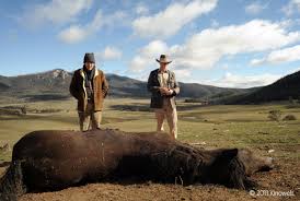 Daniel plainview is a rotten man, only concerned with his own. Red Hill Film Rezensionen De