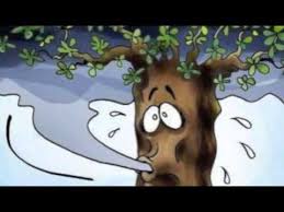 En su mayor parte, la deforestación se debe a la acción humana y se ha visto dramáticamente aumentada. Etica Final La Deforestacion Csc Youtube