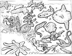 Malvorlage Unterwasserwelt Coloring And Malvorlagan