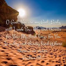 Seek God Early In The Morning When You First Arise Your Soul Thirst For Him Feed Your Spirit And Your Soul Shall Prosper Bible Scriptures Bible Apps Bible