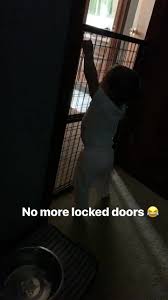 We did not find results for: No More Locked Doors Created By Riccardo Tha Deal Popular Songs On Tiktok