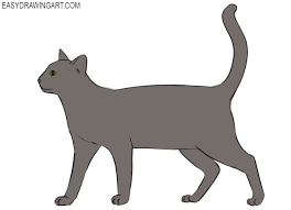 Using the guidelines, draw the eyes, nose, whiskers, and mouth of the cat, and add 2 triangles on the top of the circle for ears. How To Draw A Cat Easy Drawing Art