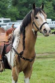 Check spelling or type a new query. Pin On And Her Horse