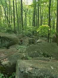 1542 mountain view dr, quakertown (pa), 18951, united states. Top Rock Trail At Nockamixon State Park Picture Of Top Rock Trail At Nockamixon State Park Quakertown Tripadvisor