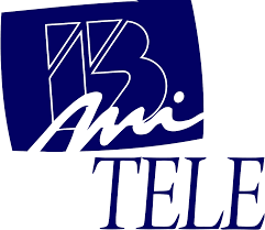 Update this logo / details. File Logo Canal 13 Mi Tele 1 1993 1994 Svg Wikimedia Commons