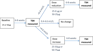 Levothyroxine Dose Titration Flowchart Levo Thyroxine Dose