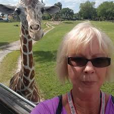 I know they will check bands to ride rides but what keeps the general  public who don't have Mickey's Not-So-Scary Halloween Party 2022 tickets  from just walking around and seeing the parade