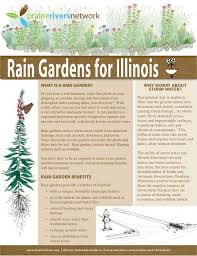 Prairier Rivers Network Rain Gardens For Illinois Rain Garden Rain Garden Landscape Native Plants