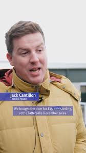 🗣 “I saw a number of them here at Goffs, I’ve been impressed by them”,  🇬🇧 The first foals by three-time G1 winner #PerfectPower have been  impressing people at the sales! 👀, We spoke to Jack Cantillon ...