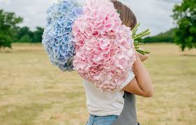 Nature nook florist & wine shop delivers lovely flowers in cincinnati, oh, cleves, oh, north bend, oh, harrison, oh and lawrenceburg, in. Nikki Tibbles Wild At Heart Florist Liberty