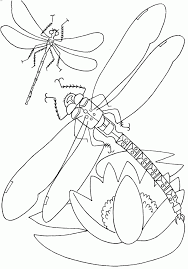 Maybe you would like to learn more about one of these? Disney Coloring Pages For Preschoolers Novocom Top