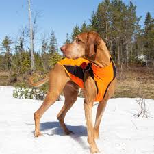 Eddie High Visibility Reflective Orange Jumper for Dogs