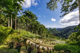 Jul 08, 2021 · 1 erfahrung mit der telefonnummer +596 696 265742 aus martinique. Martinique Tipps Alle Infos Rund Um Euren Martinique Urlaub