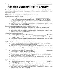 building macromolecules activity