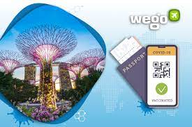 Have not travelled overseas in the last 14 days Vaccine Passport Singapore 2021 Everything You Need To Know About Covid Passport In Singapore