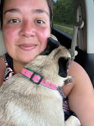 Lost Dog in Berks County