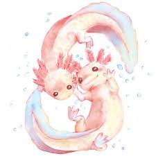 4,837 likes · 15 talking about this. 51 Axolotl Drawing Ideas Axolotl Drawings Axolotl Cute