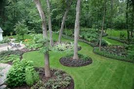 Pin By Ragen Hamlin On Backyard Large Yard Landscaping Small Backyard Landscaping Landscaping Around Trees