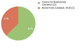 Image result for Anthospermum whyteanum
