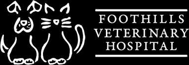 Make a south branch appointment. Animal Hospital In Greenville And Pelzer Sc Foothills Veterinary Hospital
