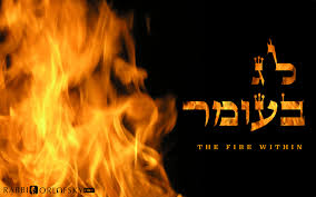 Why don't we make a shehechiyanu on sefirat haomer? The Fire Within Some Thoughts On Lag B Omer Rabbi Dovid Orlofsky S Official Website