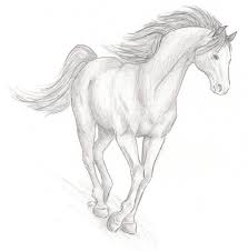 When autocomplete results are available use up and down arrows to review and enter to select. Cartoon Pencil Easy Horse Drawing Figgymcfatty