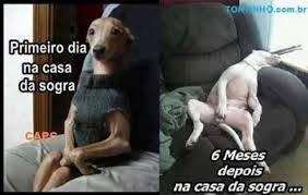 images?q=tbn:ANd9GcRb5XCqQkHVTkWOn-bwokZ