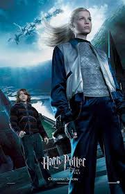 Harry Potter And The Goblit Of Fire Movie Posters Rupert Grint Poster Others Harry Potter And The Goble Met Afbeeldingen Harry Potter Films Fleur Delacour Vuurbeker