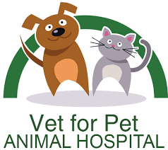 Join premier vet care animal clinic in rowlett, texas where you can make a real. Vet For Pet Animal Hospital Veterinarian East Hartford Ct