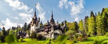Romania (românia) is situated on the western shores of the black sea. Pharmaboardroom Romania Country Managers Where Are They Now