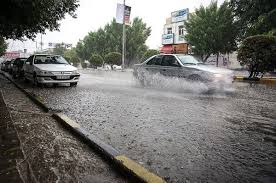 مدیرکل هواشناسی بوشهر از رکورد بارندگی در استان خبر داد