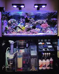 Perawatan aquarium air tawar aquascape, jauh lebih mudah dibandingkan perawatan aquarium konvensional. Tips Merawat Aquarium Air Laut Ternyata Gak Sulit Loh