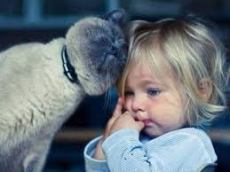 Amistad entre bebés y mascotas...