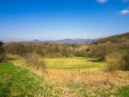 Unser anbau verfügt über 70 sitzplätze. Vom Parkplatz Durre Wiese Zum Wurzburger Haus Und Geotop Tintenfass Hund Unterwegs Im Wohnmobil